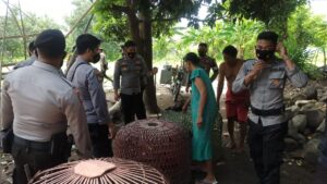 Gebrakan Awal Tahun, Sat Sabhara Polres Sumbawa Kembali Grebek Sambung Ayam
