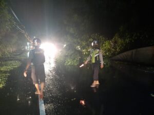 Terhalang Lilitan Kabel Listrik, Polsek Senggigi Berhasil Evakuasi Pohon Tumbang di Batulayar
