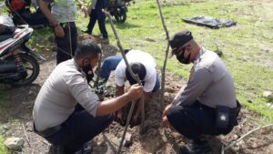 Hijaukan Lokasi Baru Pos Pol Moyo Utara, Personel Polsel Polsek Moyo Hilir Tanam Puluhan Pohon
