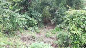 Polsek Batu Lanteh Datangi TKP Penemuan Mayat