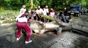 Sigap, Personel Sat Sabhara Polres Sumbawa Evakuasi Pohon Tumbang