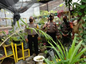 Kasat Binmas Tinjau Ketahanan Pangan Kampung Sehat Kelurahan Samapuin