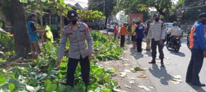 Polisi dan Warga Gotong Royong Lakukan Pemangkasan Pohon di Kediri, Antisipasi Pohon Tumbang