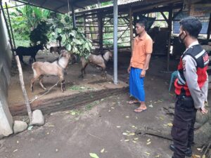 Dorong Kampung Sehat, Desa Bengkaung Bidik Potensi UKM yang Dimiliki Oleh Desanya