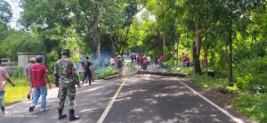 Minimalisir Kecelakaan Akibat Pohon Tumbang, Forkopimcam Lembar Tanggap Lakukan Pemangkasan Pohon