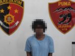 Sempat Buron Karena Lakukan Curas, Pemuda Di Alas Diringkus Polisi