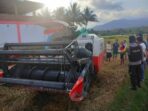 Petani Terlindas Mobil Pemanen Padi Hingga Tewas di Bima
