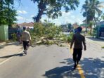 Cegah Pohon Tumbang, Dinas Perkim dan Polsek Kediri Tebang Pohon di Rumak Kediri