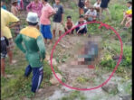 Rumput Gajah Bawa Petaka, Akibatkan Satu Orang Tewas Ditebas di Lombok Tengah