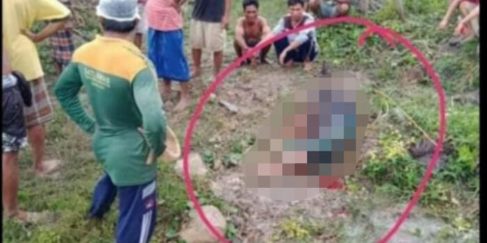 Rumput Gajah Bawa Petaka, Akibatkan Satu Orang Tewas Ditebas di Lombok Tengah