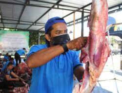 Hari Raya Qurban, Polres Sumbawa Barat Sembelih 51 Ekor Sapi dan 2 Kambing