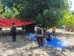 Polisi Kembali Grebek Judi Sabung Ayam di Pelampang