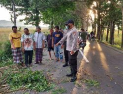 PNS di Lombok Barat ini Tertimpa Pohon di Jalan Raya, Korban Meninggal Dunia