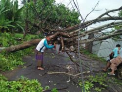 Polisi, Petugas PLN dan Warga Bergotong Royong Bersihkan Pohon Tumbang