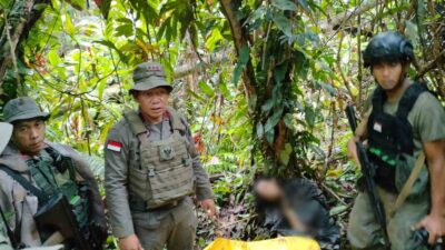 Satgas Madago Raya