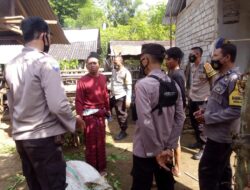 Pemantauan dan Penaganan PMK di Sekotong, 33 Ekor Sapi Dapat Suntikan Vaksin