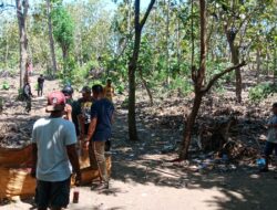 Polisi Bubarkan Judi Sabung Ayam di Woja Dompu, Bikin Resah dan Rawan Maling