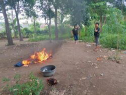 Ayam Aduan Digorok Tim Puma 2 Saat Gerebek Judi Sabung Ayam