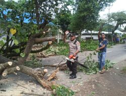 Polsek Gunungsari Diapresiasi Warga Respon Cepati Evakuasi Pohon Tumbang di Jalan Raya Tanjung
