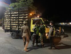 Cegah PMK,Tim Gabungan Lakukan Operasi Patuh Karantina Di Pelabuhan Tano