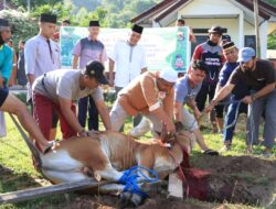 Momen Idul Adha 1443 H,Polres Sumbawa Barat Distribusikan 51 Ekor Hewan Qurban