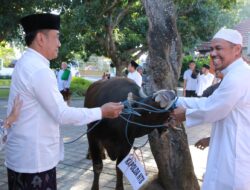 Kapolda NTB Menyerahkan Dan Melakukan Penyembelihan Hewan Kurban Secara Simbolis