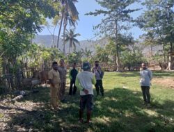 Bhabinkamtibmas Desa Soro Polsek Kempo dan UPTD Dinas Peternakan Kecamatan Kempo sosialisasi PMK terhadap peternak