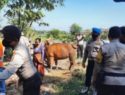 Pantau Wilayah, Polsek Labuapi Sambangi Kegiatan-kegiatan Masyarakat, Salah Satunya Vansinasi PMK