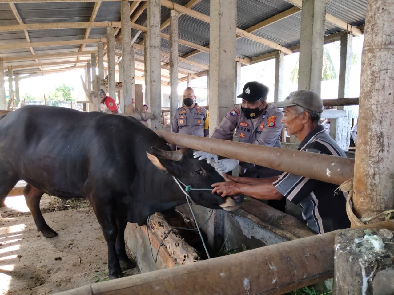 Vaksinasi Hewan Ternak di Kediri, Sasar Dua Kelompok Tani Ternak