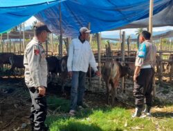 Rutin Lakukan Pengecekan,Polsek Alas Barat Berikan Himbauan Pencegahan PMK