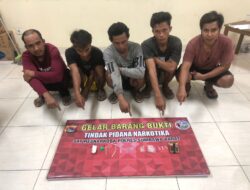 Diduga Miliki Shabu,Sat Resnarkoba Polres Sumbawa Barat Ringkus 5 Pemuda Di Sebuah Rumah Gubuk
