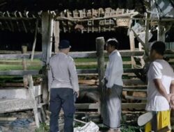 Cegah Pencurian Ternak di Wilayahnya, Polsek Sekotong Pantau Terus Kandang Kolektif di Sekotong