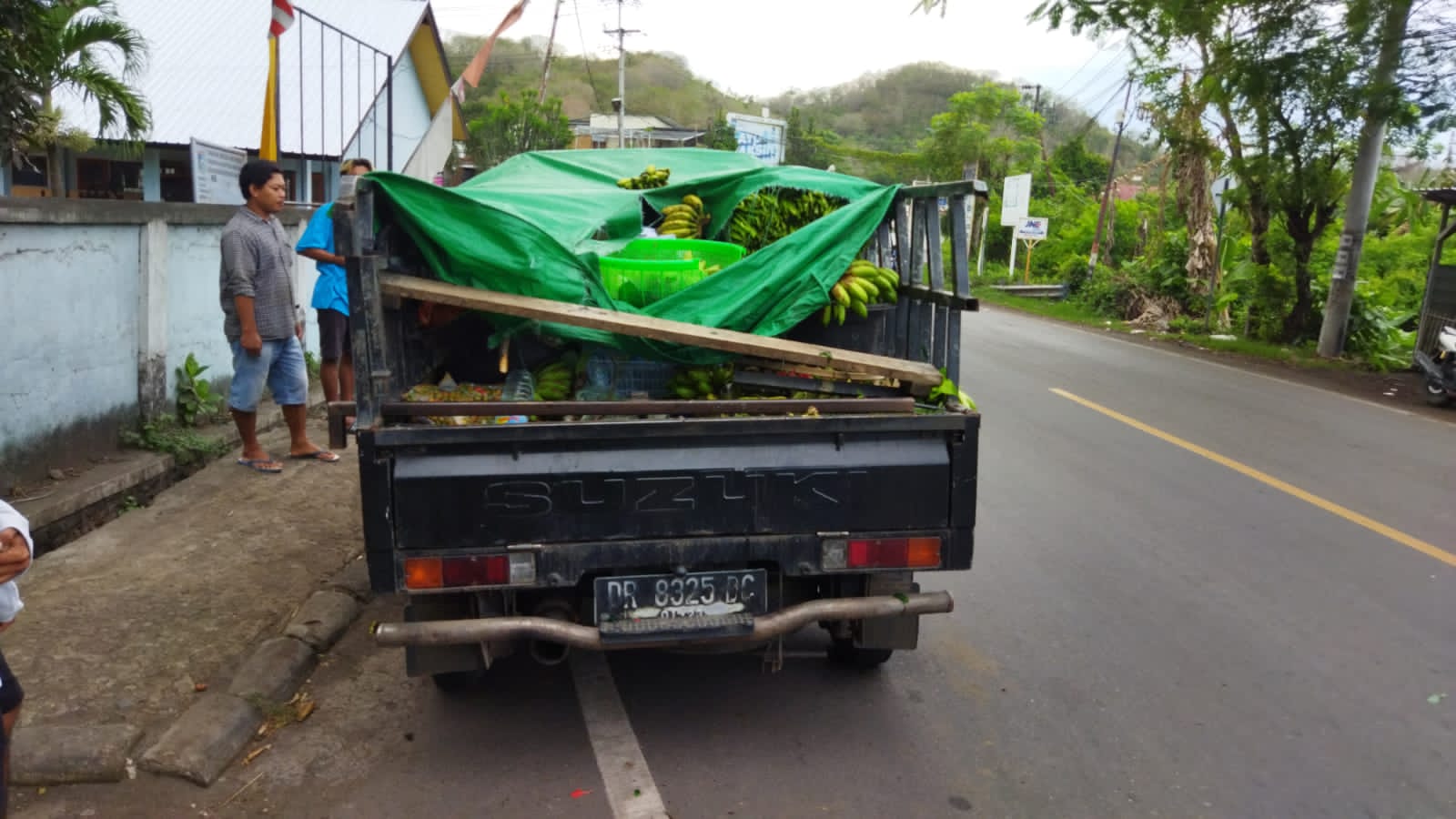 Mobil Pick Up Tertimpa Pohon Tumbang di Lembar, Memakan Satu Korban Meninggal Dunia