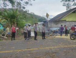 Mobil Pick Up Tertimpa Pohon Tumbang di Lembar, Memakan Satu  Korban Meninggal Dunia
