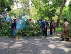 Polres Lobar Amankan Kegiatan Perampingan Pohon di Lembar, Cegah Pohon Tumbang Susulan
