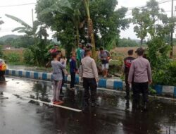 Angin Kencang dan Hujan Deras di Gerung, Mengakibatkan Ranting Pohon Timpa Dua Pengendara