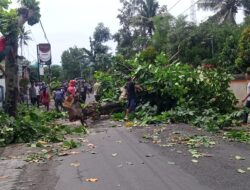 Pemdes Jagaraga Indah bersama TNI-Polri dan Warga Gotong Royong Lakukan Pemangkasan Pohon