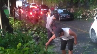 Sigap Polisi Warga dan Pihak Kecamatan Batulayar, Berhasil Evakuasi Pohon Tumbang