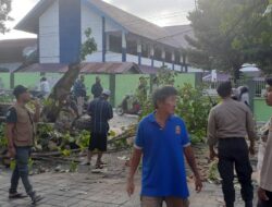 Respon Cepat Polsek Ampenan Evakuasi Pohon Tumbang di Jalan Energi Pasar ACC