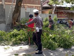 Polsek Pringgabaya Lakukan Pengamanan Dan Pengaturan Lalin Penebangan Pohon Di Jalan Utama Desa Pringgabaya.