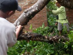 Pohon Tumbang Menimpa Rumah Warga, Dalam Cuaca Buruk Polres Sumbawa Barat Berikan Imbauan Kepada Masyarakat