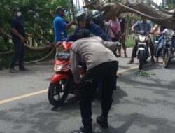 Personil Polsek Buer Bersama Warga Evakuasi Pohon Tumbang Akibat Cuaca Buruk