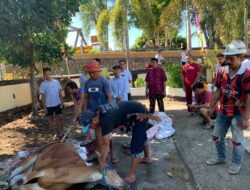 Polsek Madapangga Polres Bima Mengadakan Pemotongan Hewan Qurban.