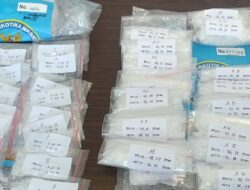 BNNP NTB Musnahkan 1.300.57 gram Shabu dan 806 gram Ganja