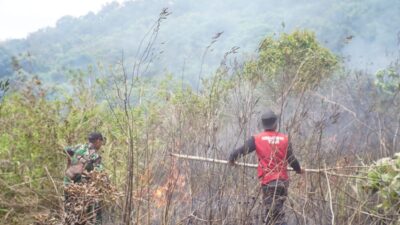 Kawasan TNGR Kebakaran, TNI-Polri di Sembalun Sigap Padamkan Api