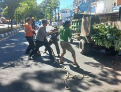 Anggota Polsek Sandubaya Evakuasi Pohon Tumbang di Jalan Sriwijaya