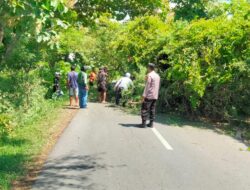 Respon Cepat, Polsek Moyo Hulu Bantu Evakuasi Pohon Tumbang