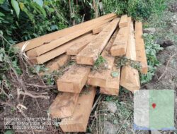 Cegah Ilegal Loging, Petugas Gabungan Amankan Puluhan Balok Kayu Di Lunyuk