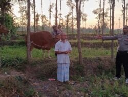 Polsek Praya Tengah Bersama Warga Temukan Ternak Yang Dilaporkan Hilang.