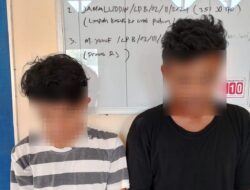 Diduga Mencuri HP, Dua Pemuda di Kecamatan Seteluk Diamankan Polisi